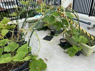 IMG_1418.jpeg