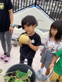 IMG_1715.jpeg