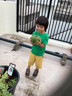 IMG_1732.jpeg